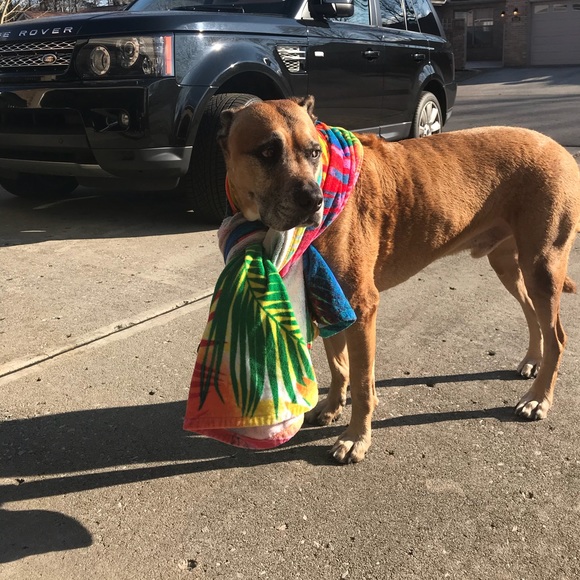 Ladies Man (not for sale or trade) - Picture 1 of 1